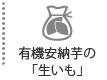 あんのう芋・むらさき芋の「生いも」