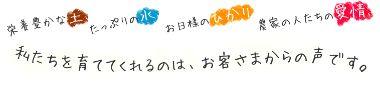 私たちを育ててくれるのは、お客さまからの声です。