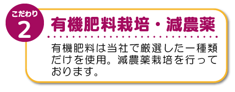 誤飲しにくい形状