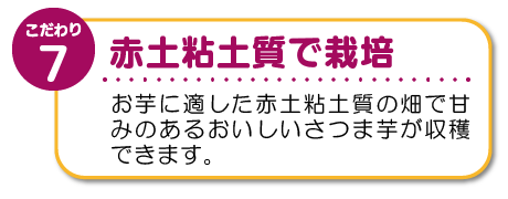 金属検査の徹底