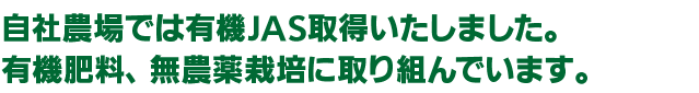 自家農場ではさつま芋をメインに栽培しています。みなさん！さつま芋の作り方、知ってますか？